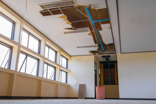 Best Water damage restoration near me  in Glendale, MS
