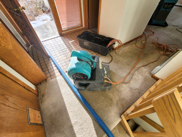 Best Professional water damage repair  in Glendale, MS