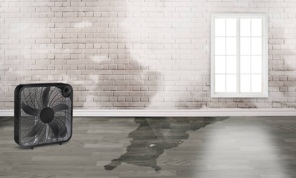 Best Water damage restoration company  in Glendale, MS