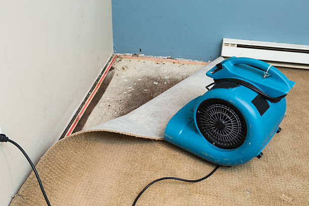 Best Water damage repair service  in Glendale, MS